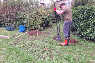 Bee hotel installation