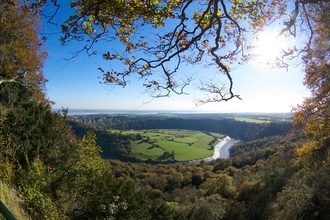 Nature recovery