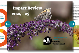 Impact Review 2024-25