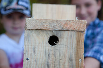 Birdbox Building by Peter Cairns/2020VISION