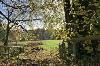 Gate opening to a field in Wyeswood common surrounded by trees