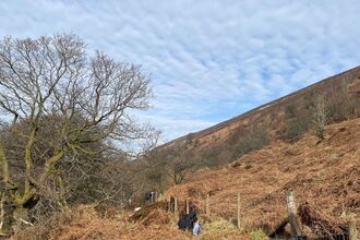 silent valley nature reserve, people planting on the side of a grassy hill 