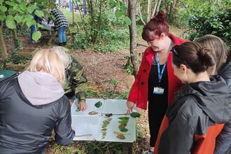 Teachers using leaves and sticks to create bar graphs on a white background, in a woodland setting