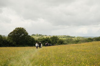 People walking in meadow at Springdale