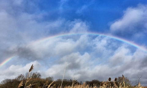 Rainbow over Magor Marsh nature reserve