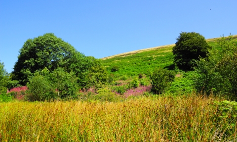 Silent Valley by Mandy Jones