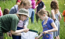 Bug hunting at Magor Marsh