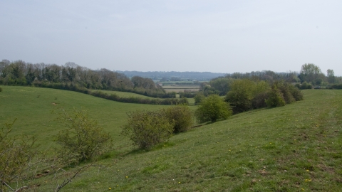 Brockwells Meadows SSS