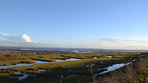 Peterstone Wentlooge Marshes l