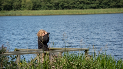 Bird Watching