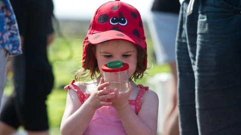 Child looking in bug pot