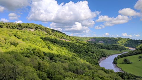 View over Piercefield Wood - Lowri Watkins