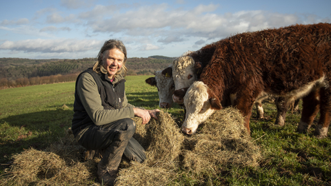 GWT staff with Hereford cattle