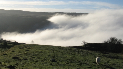Uplands Landscape by Jane Corey