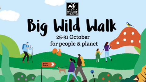 Big Wild Walk 21