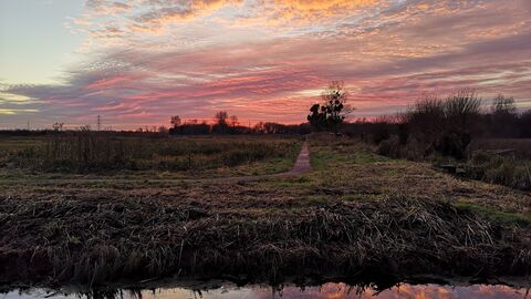 Winter sunset over Magor Marsh