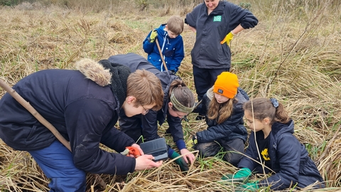 Harvest Mouse Survey Training