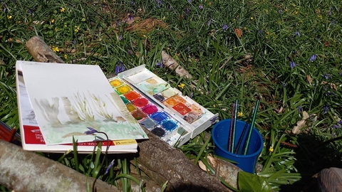 Nature Journaling