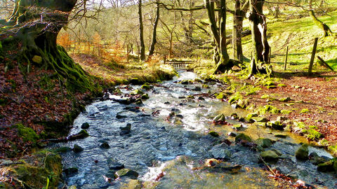 Autumn Silent Valley landscape stream