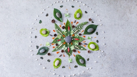 Nature-Based Mandala