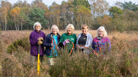 Social Value Volunteering