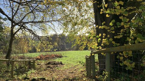 Gate opening to a field in Wyeswood common surrounded by trees