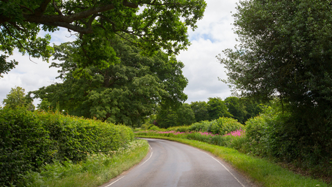 Hedgerows