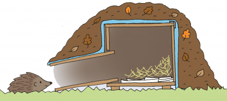 Hedgehog house illustration