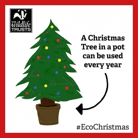 eco christmas