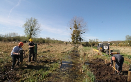 Building pond dipping platform Magor Marsh