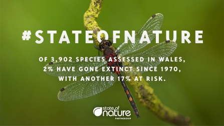 State of Nature Report 2019