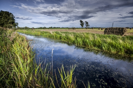 Waterway (reen) shot on the Gwent Levels