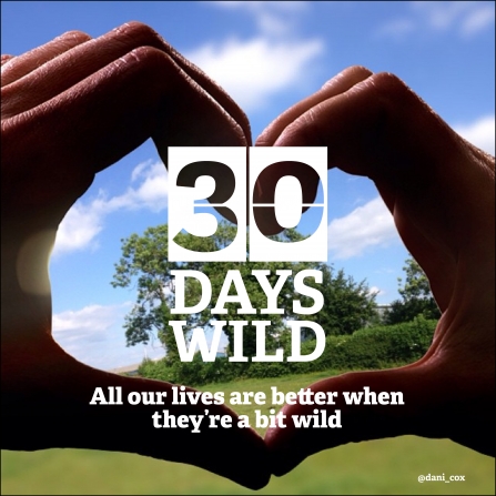 30 Days Wild