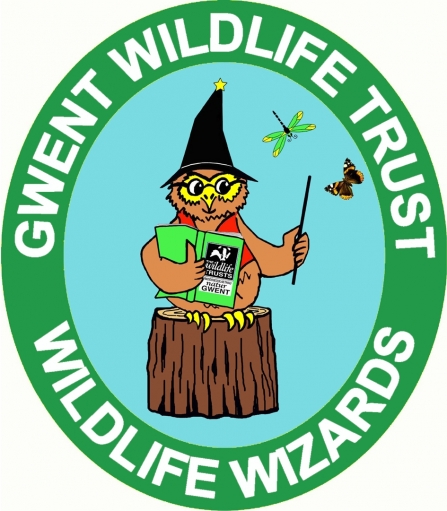 Wildlife Wizards logo