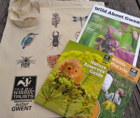Individual membership pack