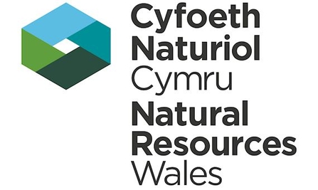 Natural Resources Wales Logo 2