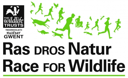 Race for Wildlife logo
