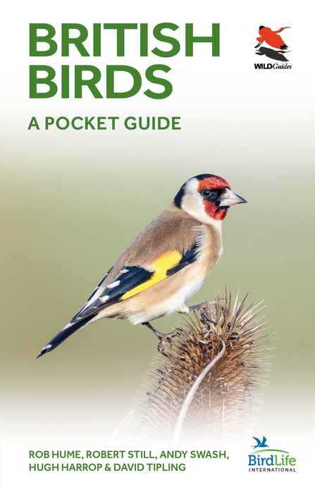 British Birds a Pocket Guide cover