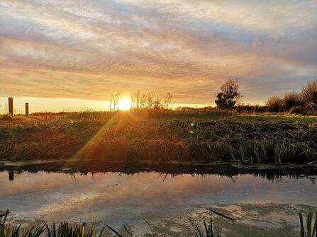 Magor Marsh winter sunset