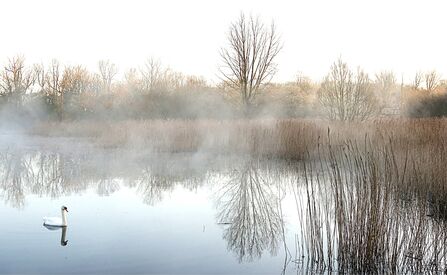 Magor Marsh winter 2020