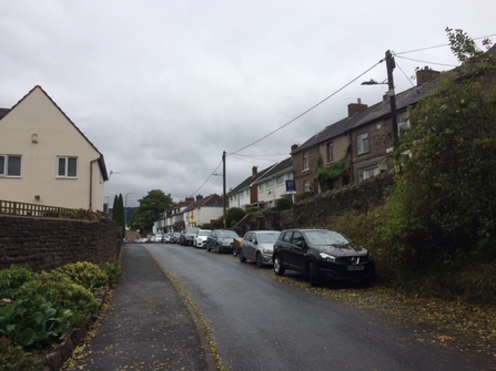 Walking through Abergavenny town centre we hear birds