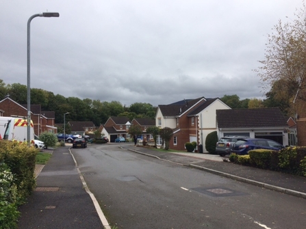 Walking towards the edge of Abergavenny town looking for birds