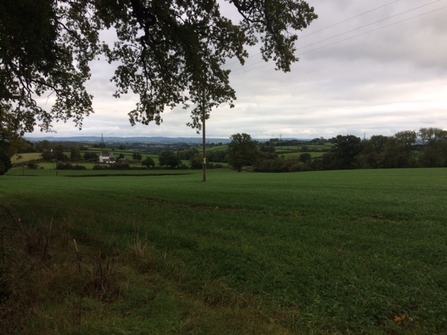 A field in Abergavenny