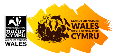 S4NW logo with WT logo