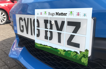 A Bugs Matter grid on a car number plate