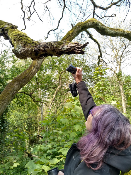 Petra photographing a tree