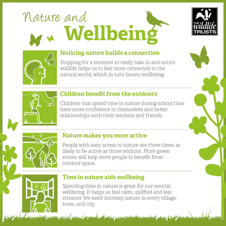 Nature and Wellbeing infographic