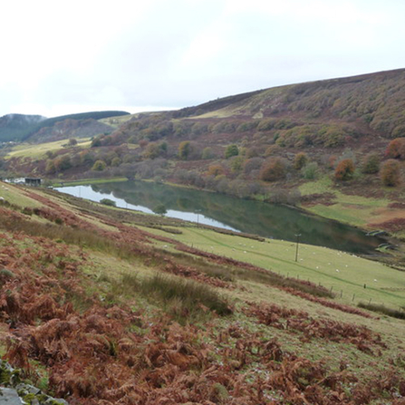 Cwmtillery Lakes - Creative Commons