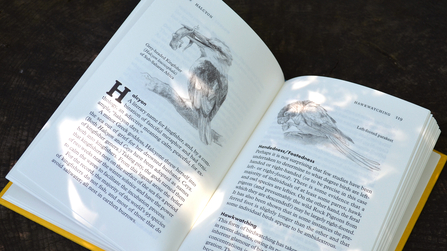 Birdpedia - A Brief Compendium of Avian Lore by Christopher W.Leahy