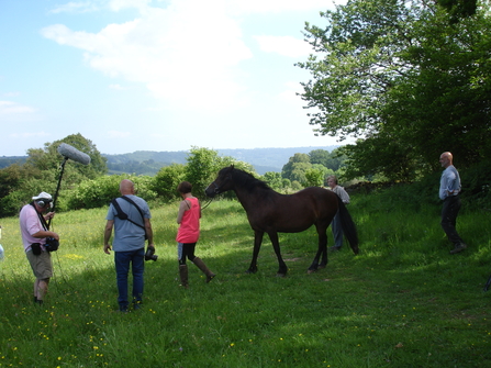 filming at Pentwyn Farm Nature Reserve